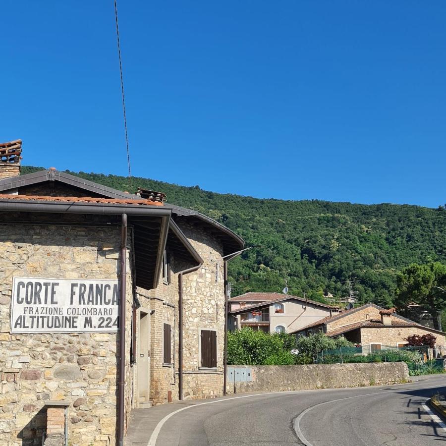 La Terrazza Sulle Vigne B&B 科尔特弗兰卡 外观 照片