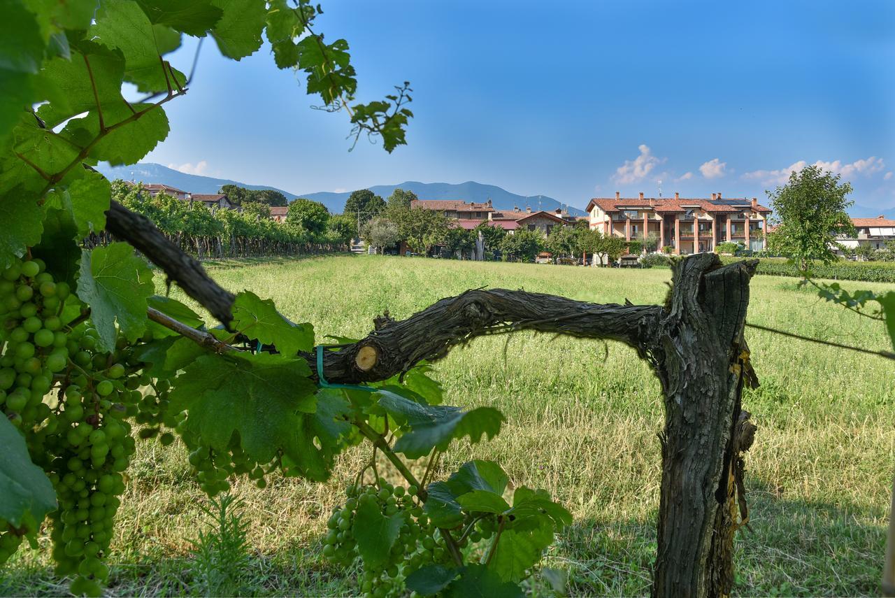 La Terrazza Sulle Vigne B&B 科尔特弗兰卡 外观 照片