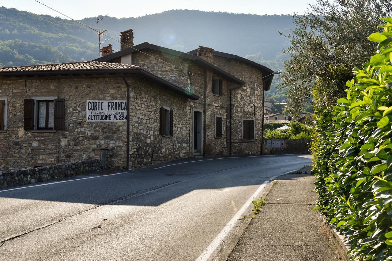 La Terrazza Sulle Vigne B&B 科尔特弗兰卡 外观 照片